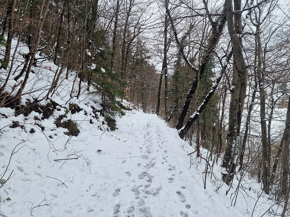 Sveta Planina, 21. 2. 2026