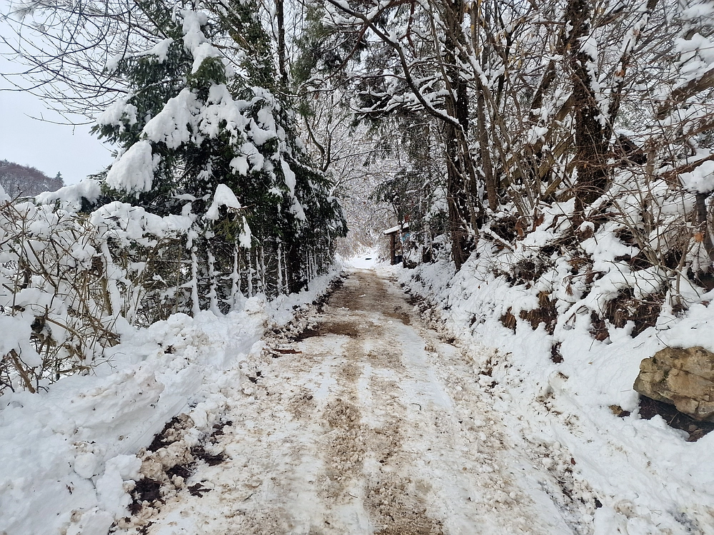 Sveta Planina, 21. 2. 2026