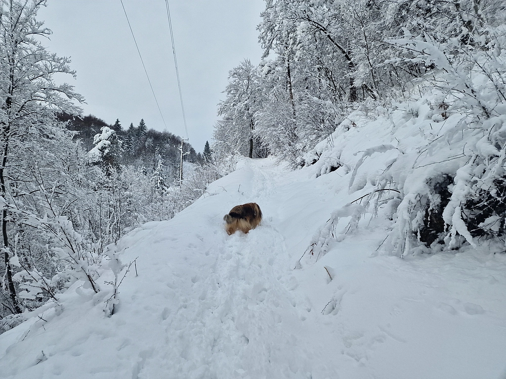 Sveta Planina, 21. 2. 2026
