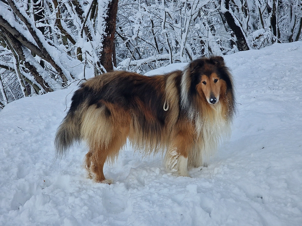 Sveta Planina, 21. 2. 2026