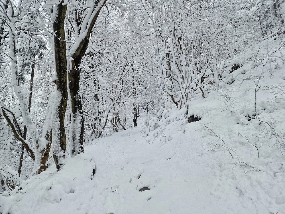 Sveta Planina, 21. 2. 2026
