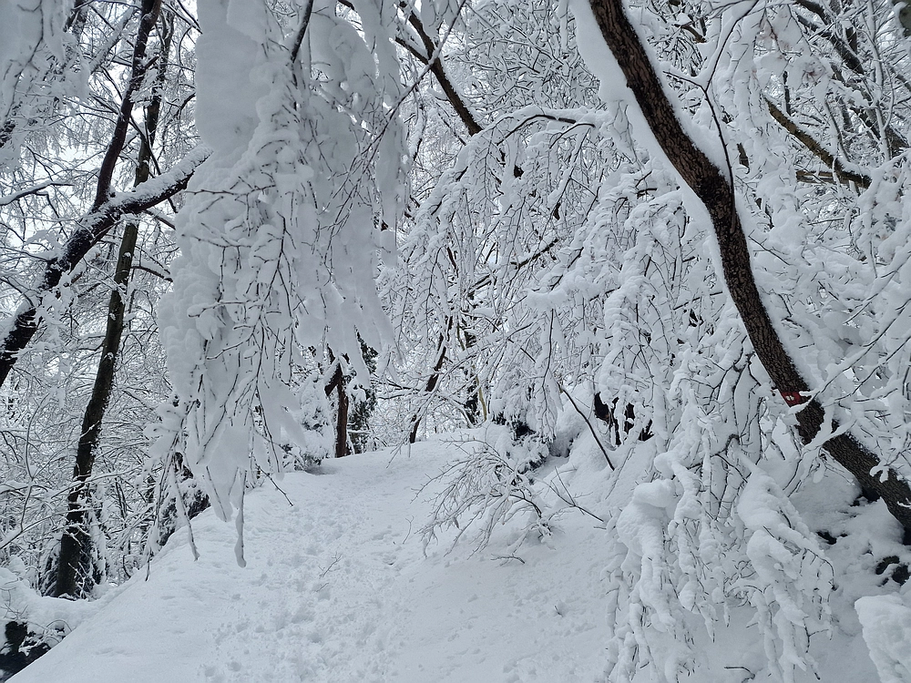 Sveta Planina, 21. 2. 2026