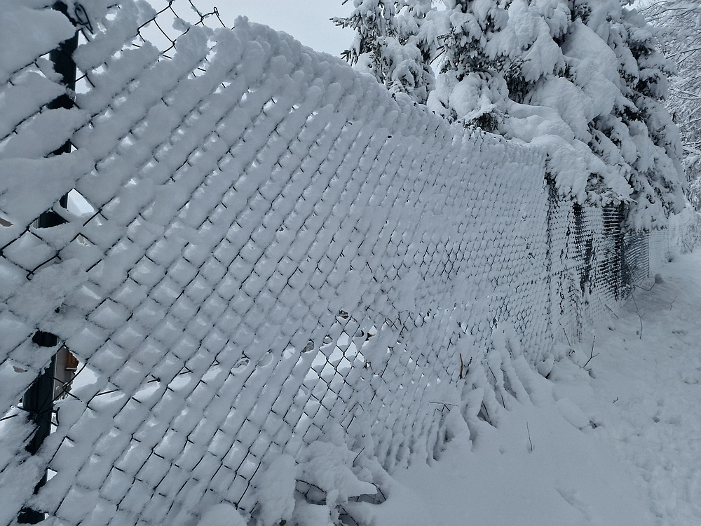 Sveta Planina, 21. 2. 2026