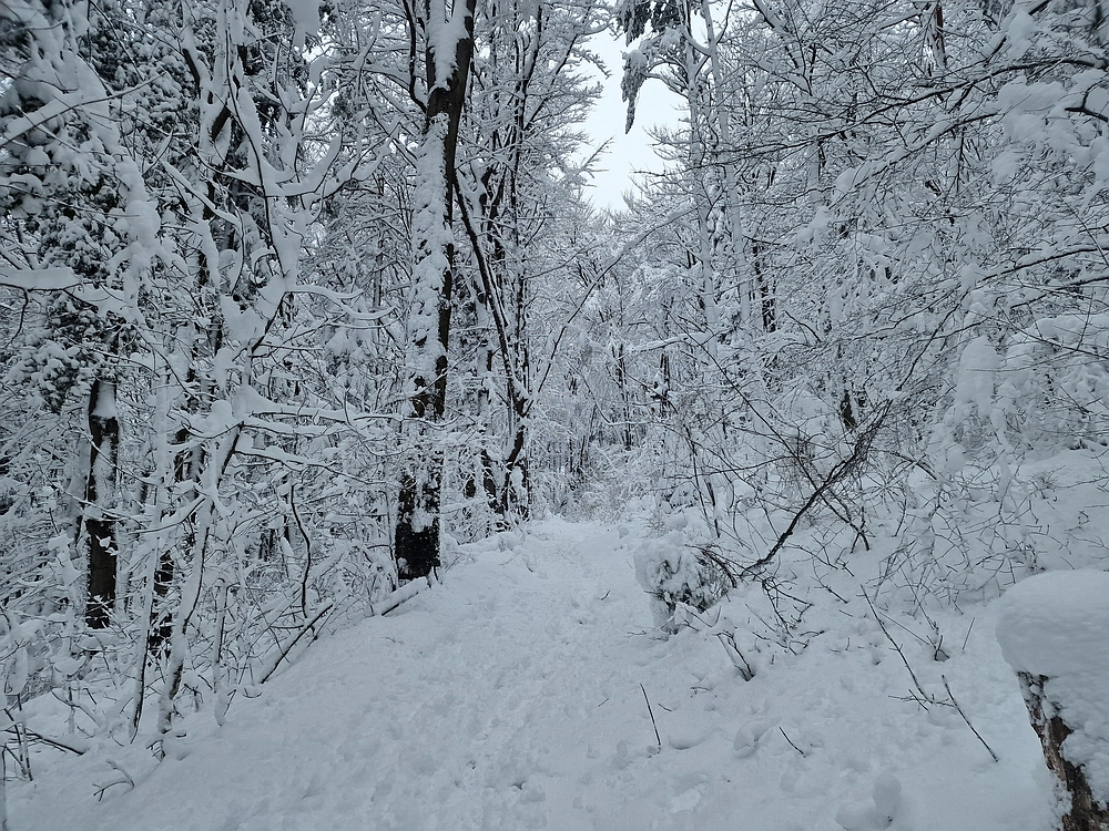 Sveta Planina, 21. 2. 2026