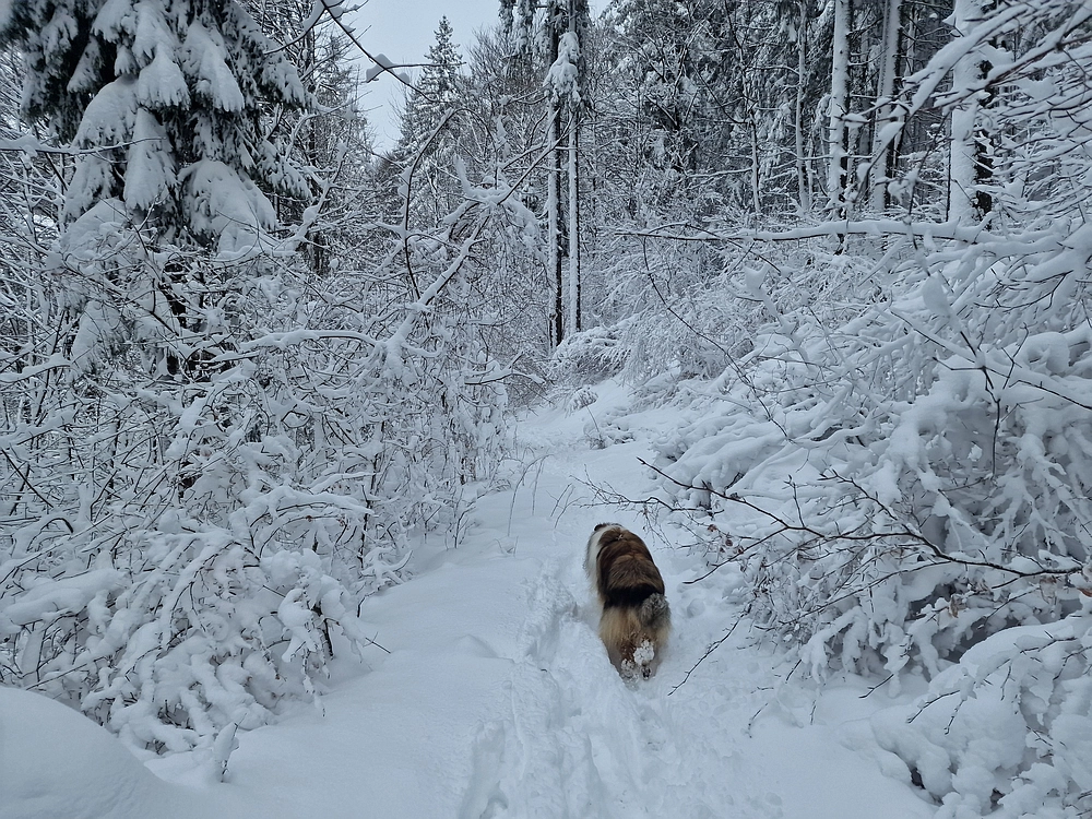 Sveta Planina, 21. 2. 2026