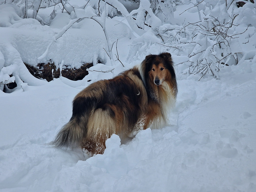 Sveta Planina, 21. 2. 2026