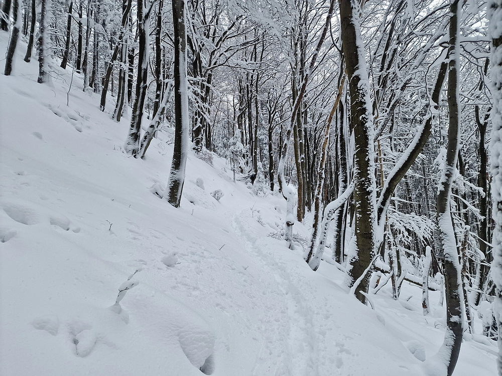 Sveta Planina, 21. 2. 2026
