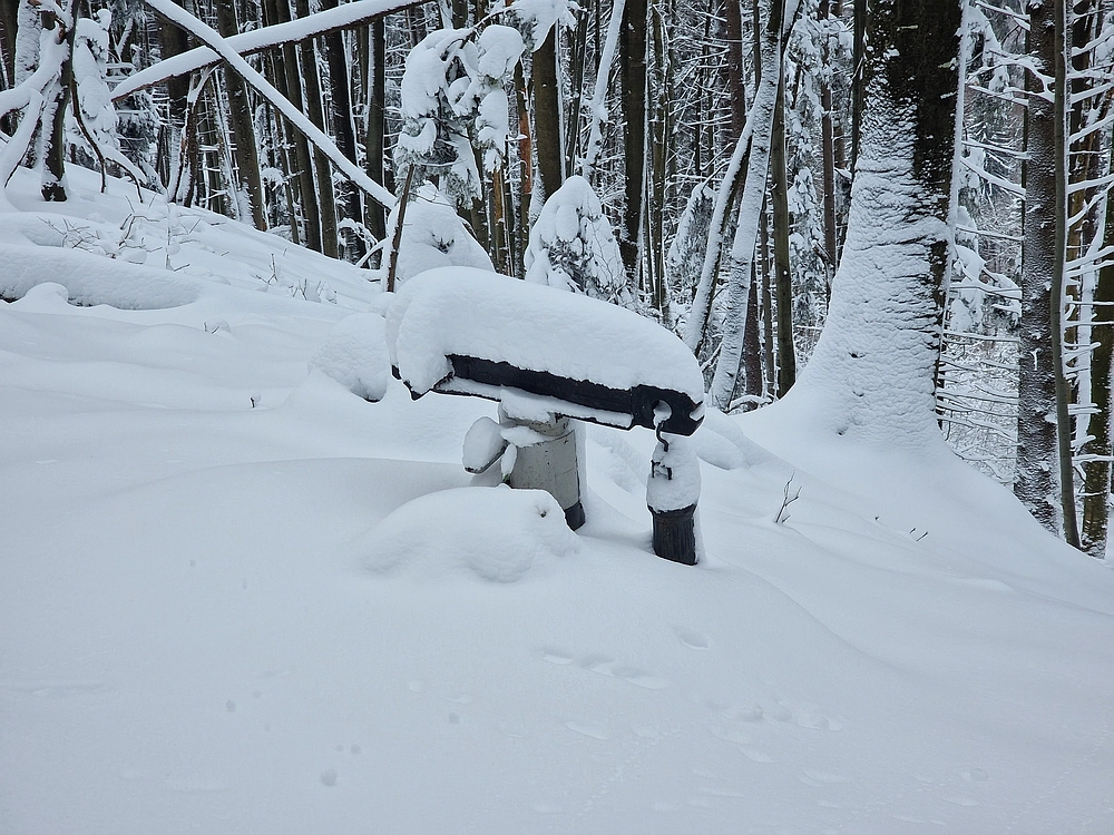 Sveta Planina, 21. 2. 2026