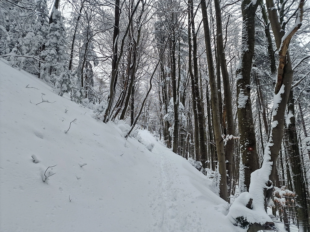 Sveta Planina, 21. 2. 2026