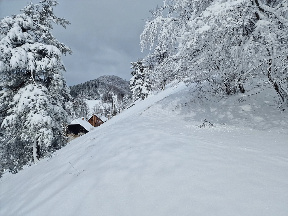 Sveta Planina, 21. 2. 2026