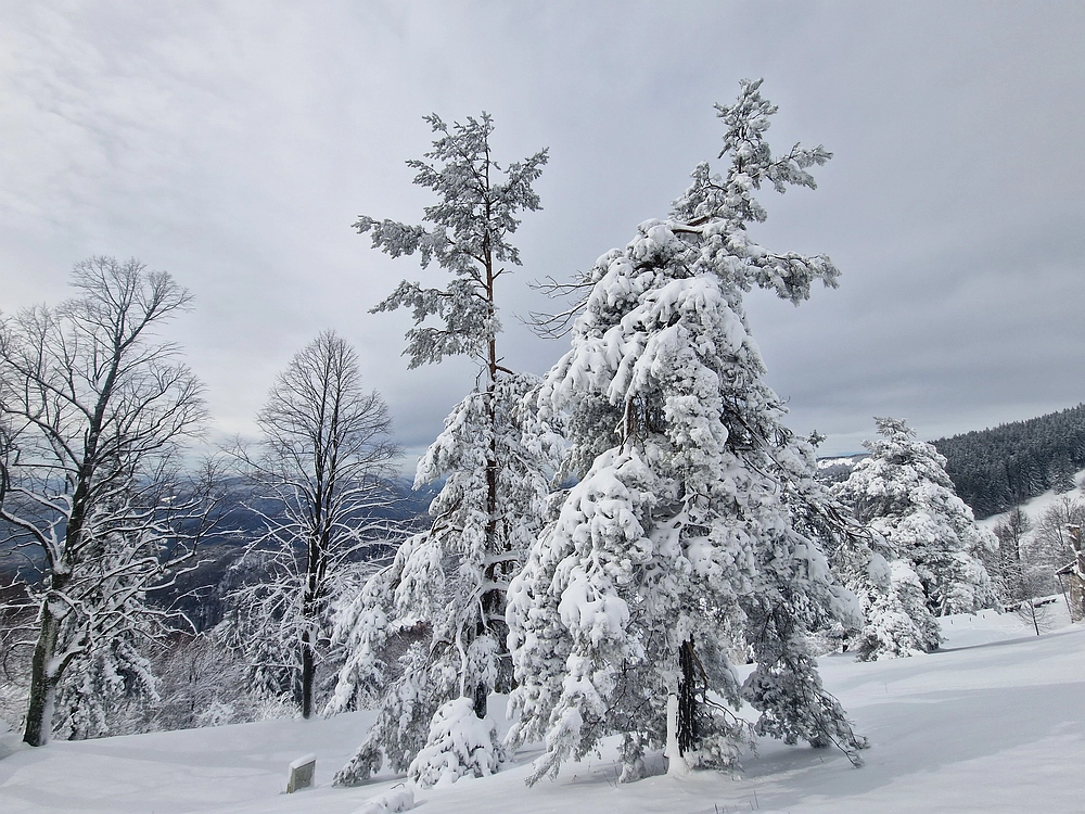 Sveta Planina, 21. 2. 2026