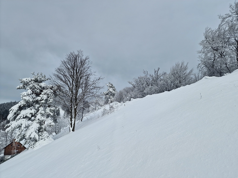 Sveta Planina, 21. 2. 2026