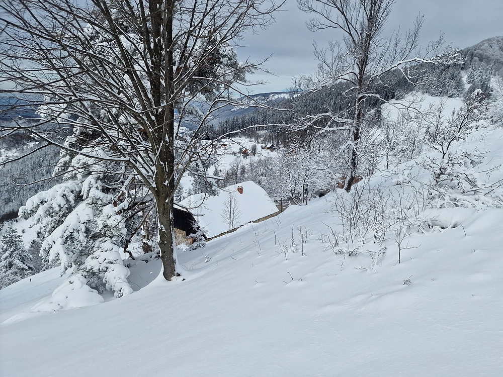 Sveta Planina, 21. 2. 2026