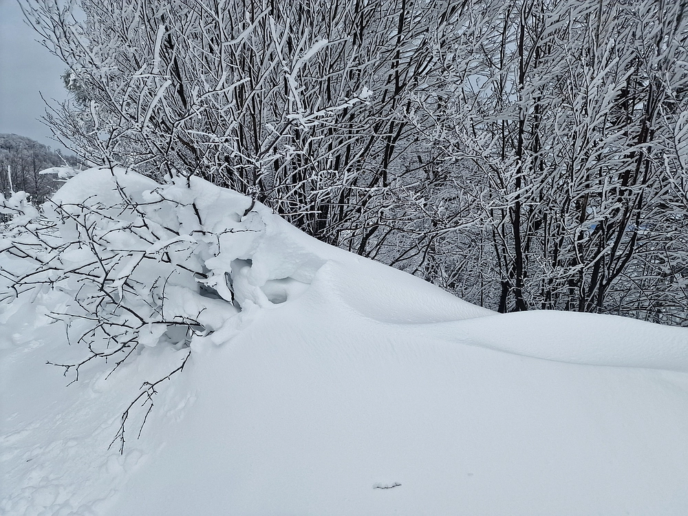 Sveta Planina, 21. 2. 2026