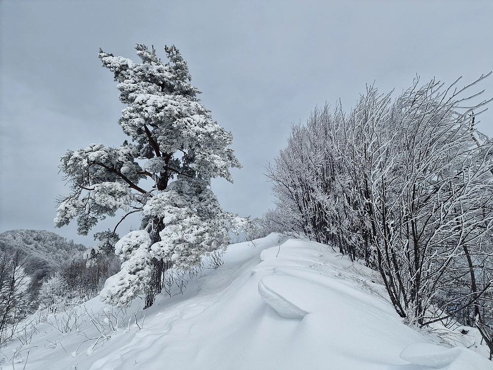 Sveta Planina, 21. 2. 2026