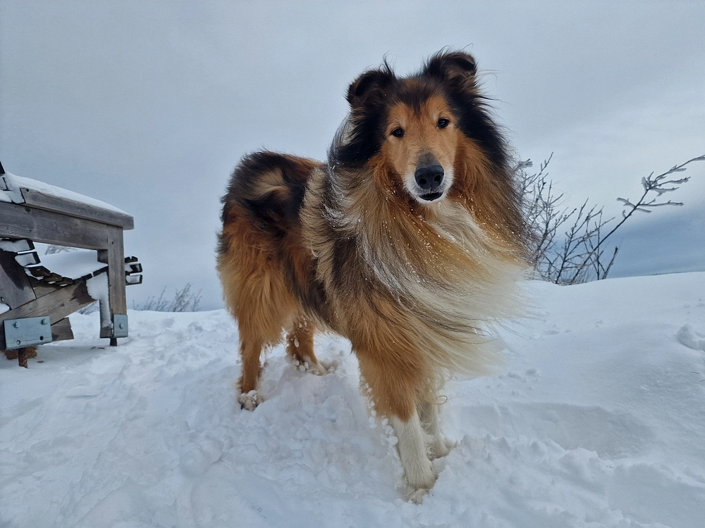 Sveta Planina, 21. 2. 2026