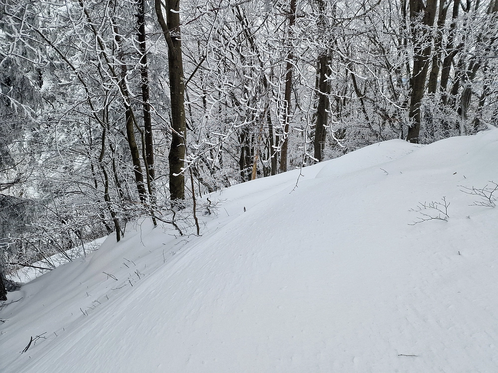 Sveta Planina, 21. 2. 2026