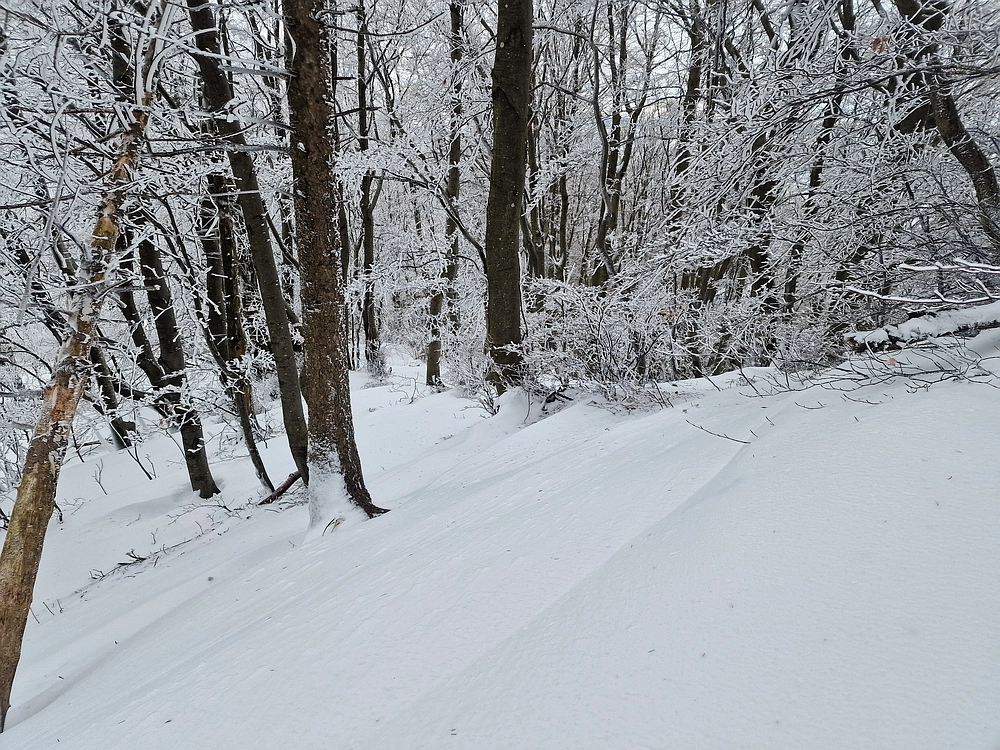 Sveta Planina, 21. 2. 2026