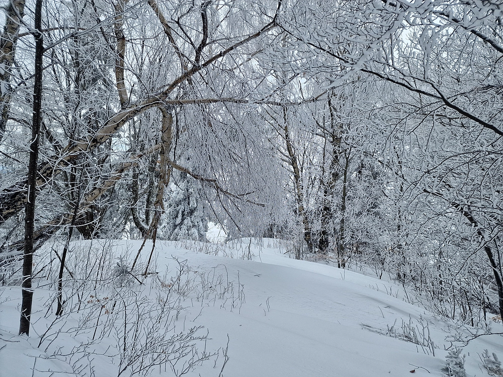 Sveta Planina, 21. 2. 2026