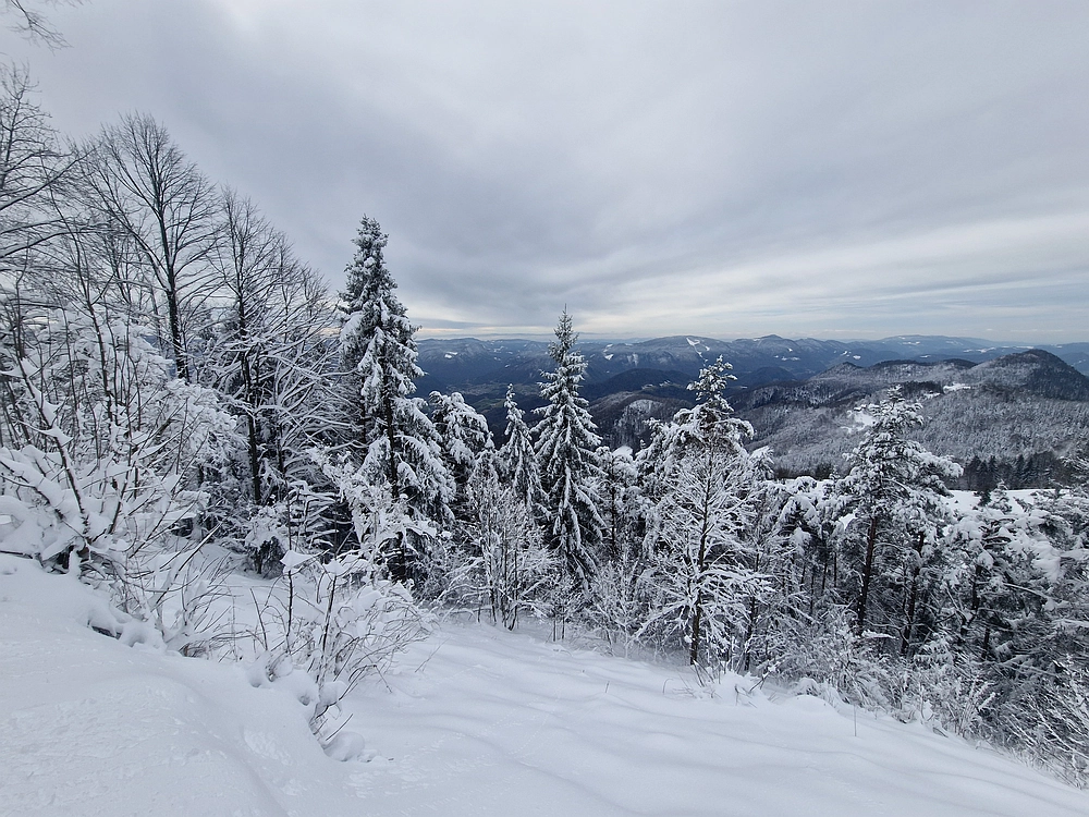 Sveta Planina, 21. 2. 2026