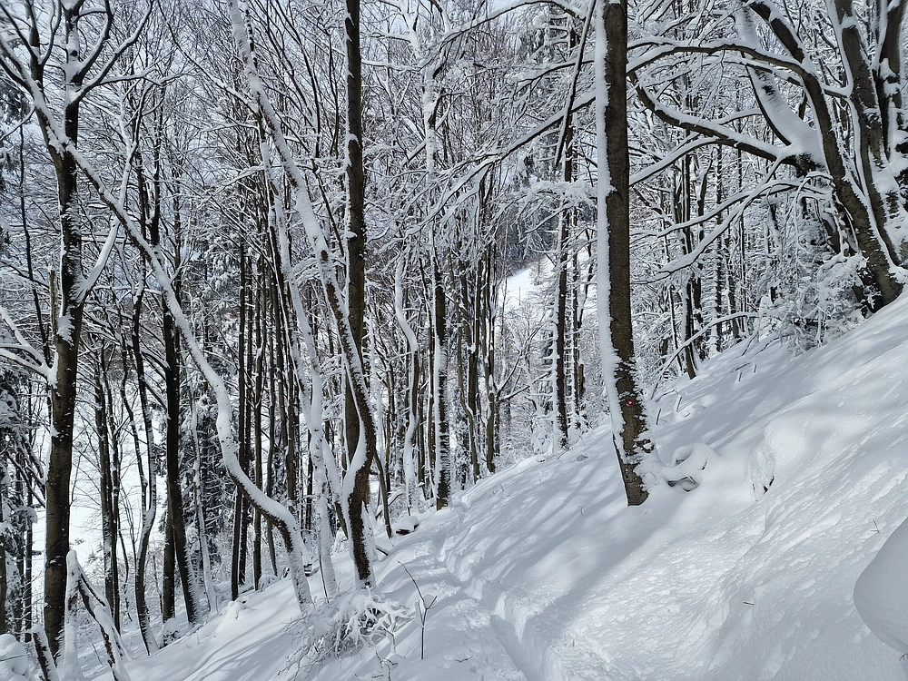 Sveta Planina, 21. 2. 2026