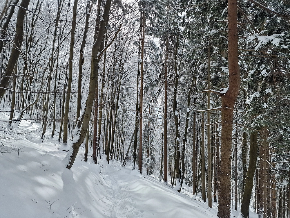 Sveta Planina, 21. 2. 2026