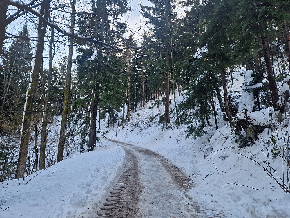 Mrzlica, 22. 1. 2026