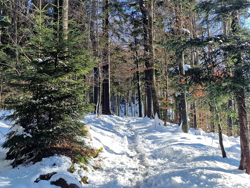 Mrzlica, 22. 1. 2026