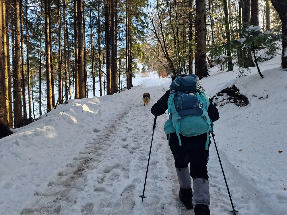 Mrzlica, 22. 1. 2026