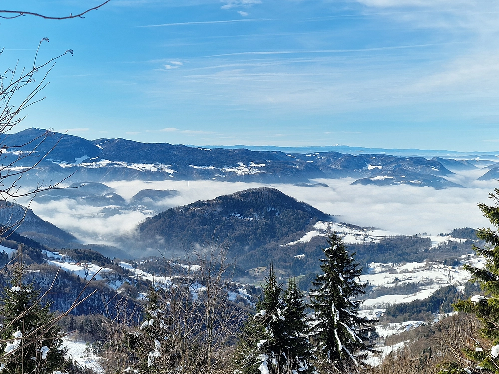 Mrzlica, 22. 1. 2026