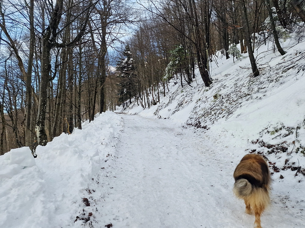 Mrzlica, 22. 1. 2026