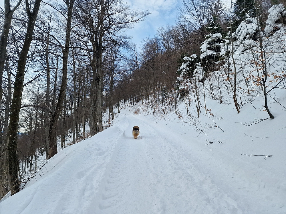 Mrzlica, 22. 1. 2026