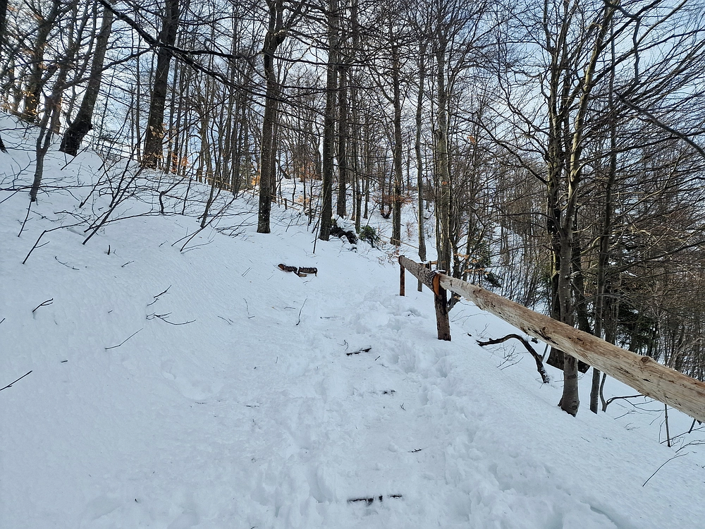 Mrzlica, 22. 1. 2026