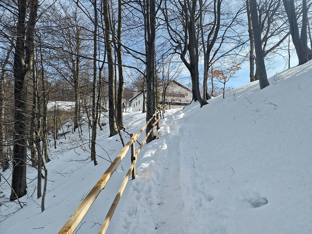 Mrzlica, 22. 1. 2026