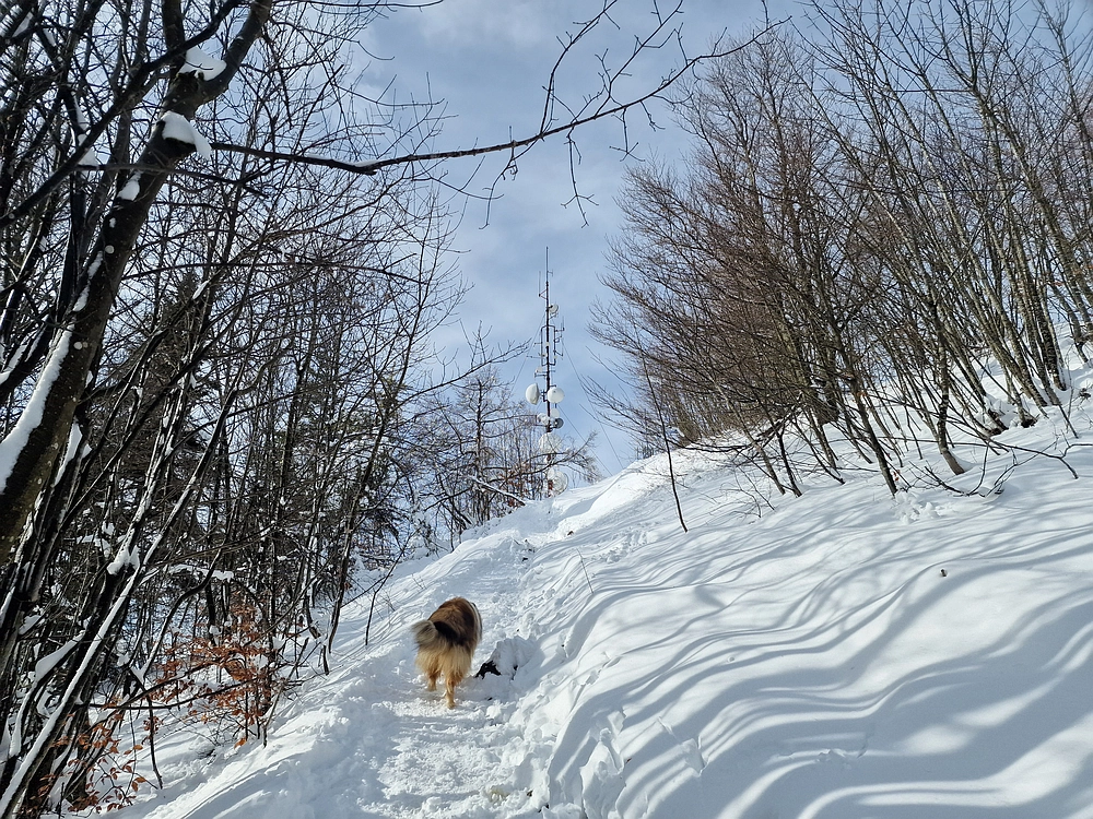 Mrzlica, 22. 1. 2026