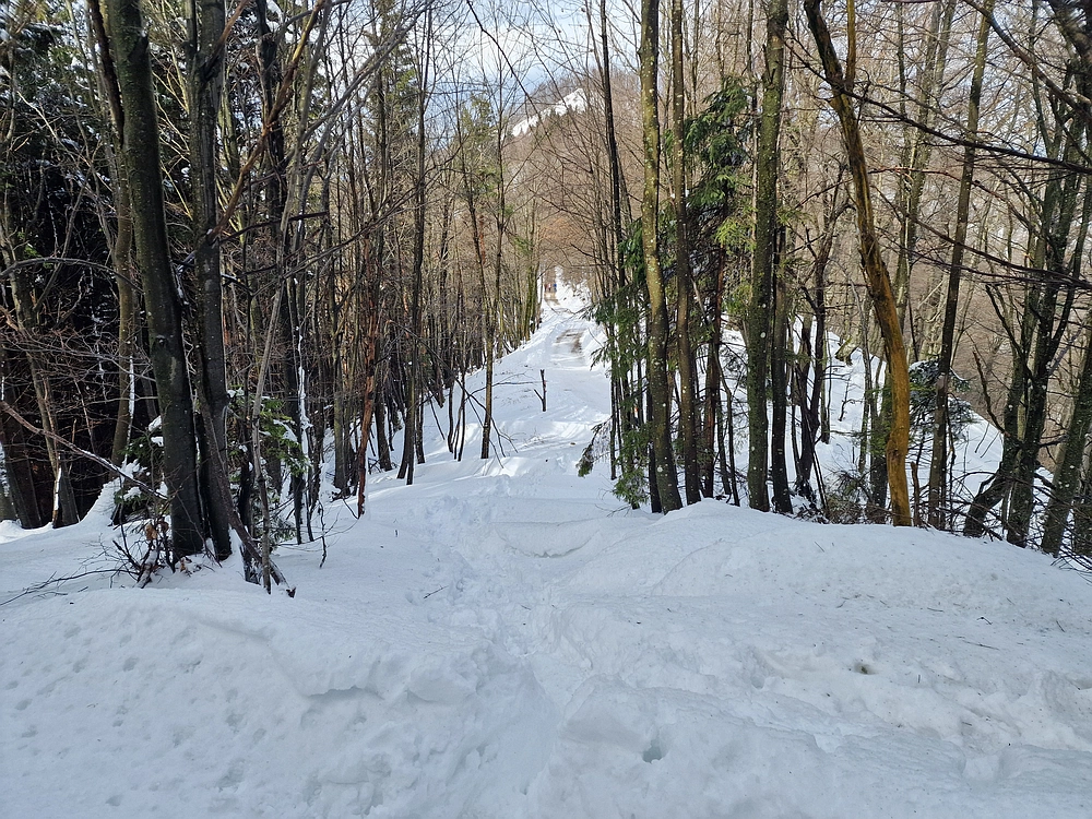 Mrzlica, 22. 1. 2026