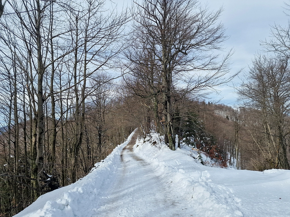 Mrzlica, 22. 1. 2026