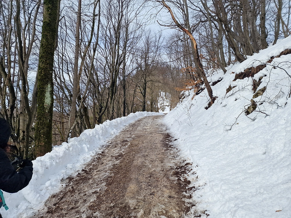 Mrzlica, 22. 1. 2026