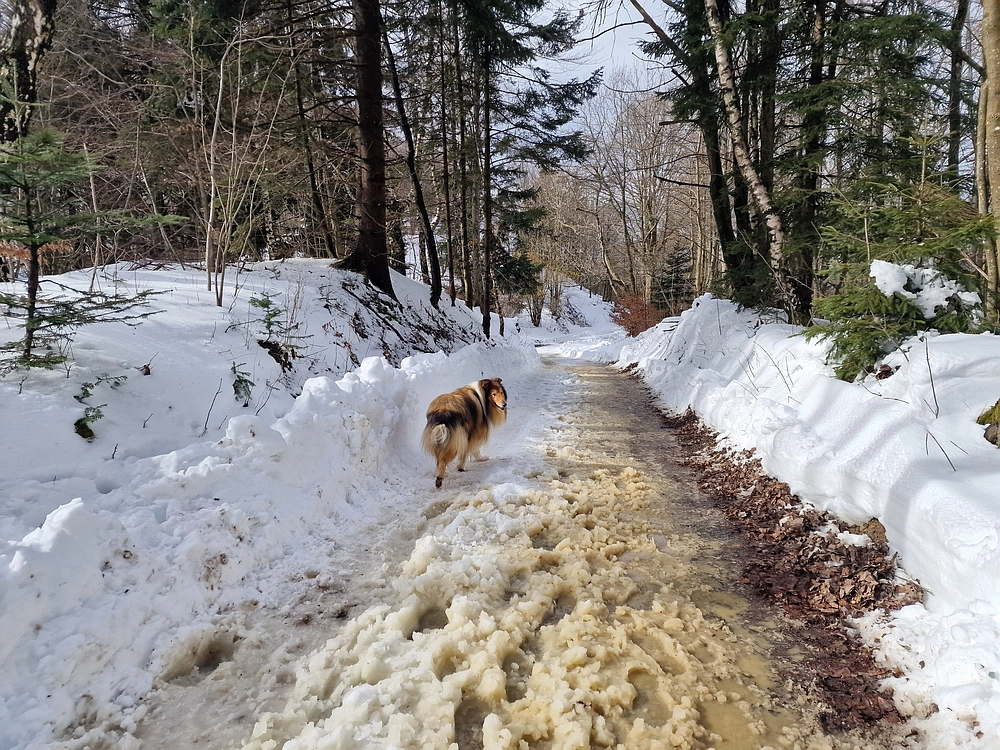 Mrzlica, 22. 1. 2026