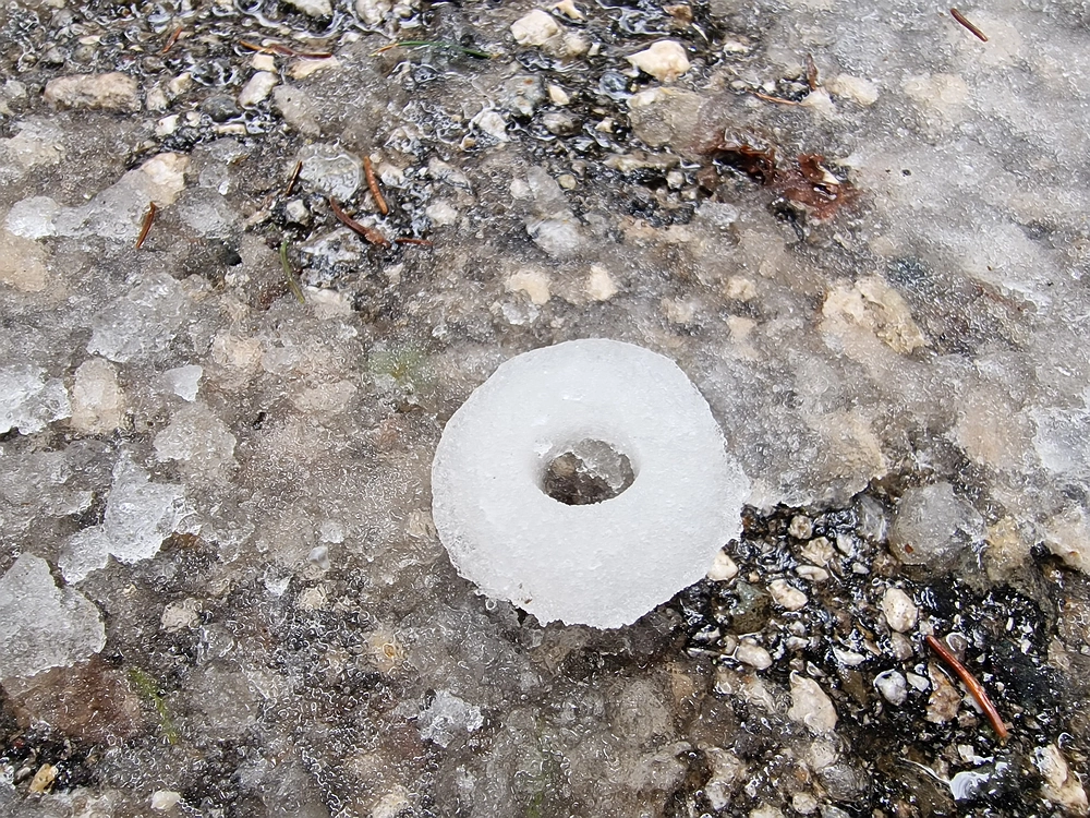 Mrzlica, 22. 1. 2026