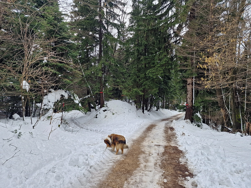 Mrzlica, 22. 1. 2026