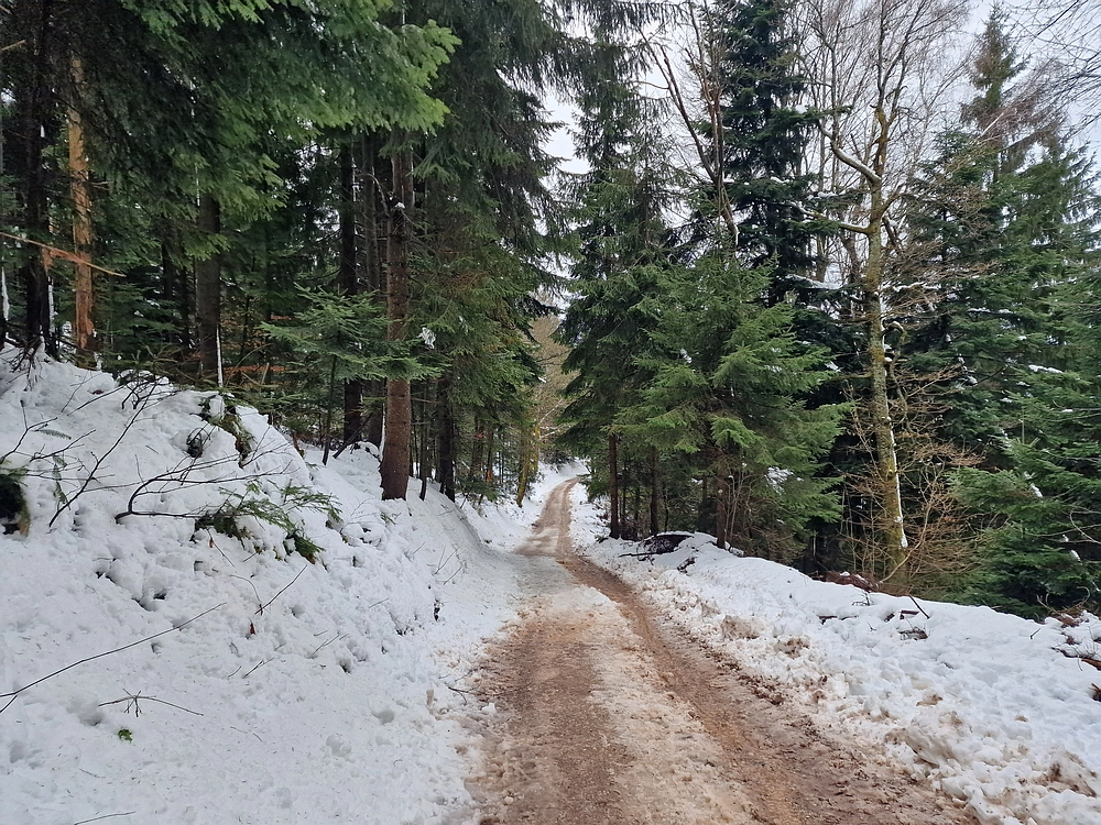 Mrzlica, 22. 1. 2026