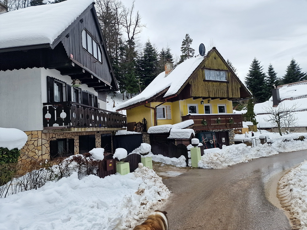 Mrzlica, 22. 1. 2026