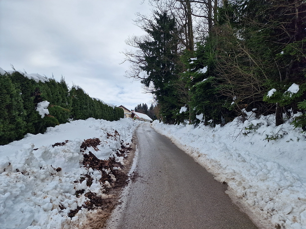 Mrzlica, 22. 1. 2026