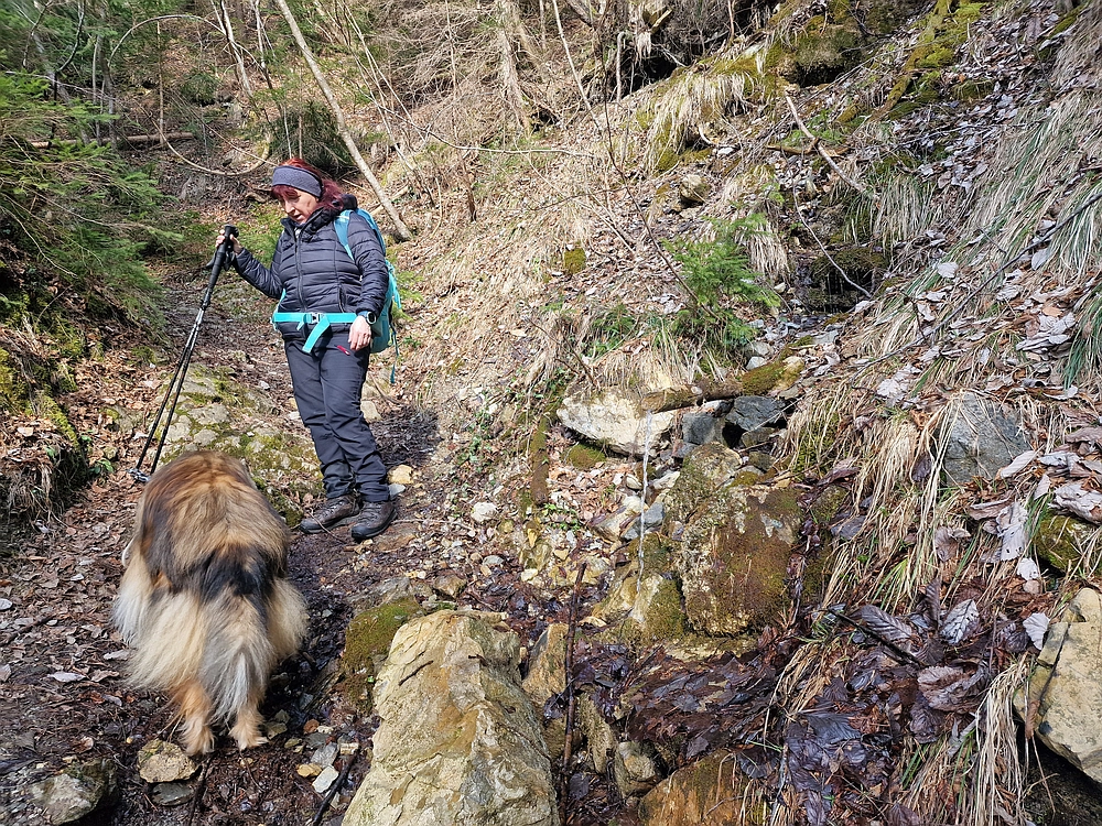 Jesenovo - Čemšeniška planina, 1. 3. 2026