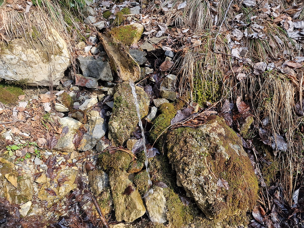 Jesenovo - Čemšeniška planina, 1. 3. 2026