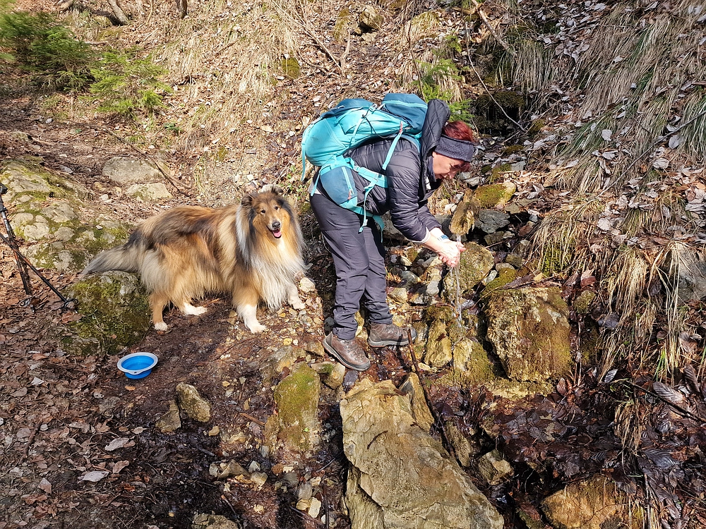 Jesenovo - Čemšeniška planina, 1. 3. 2026