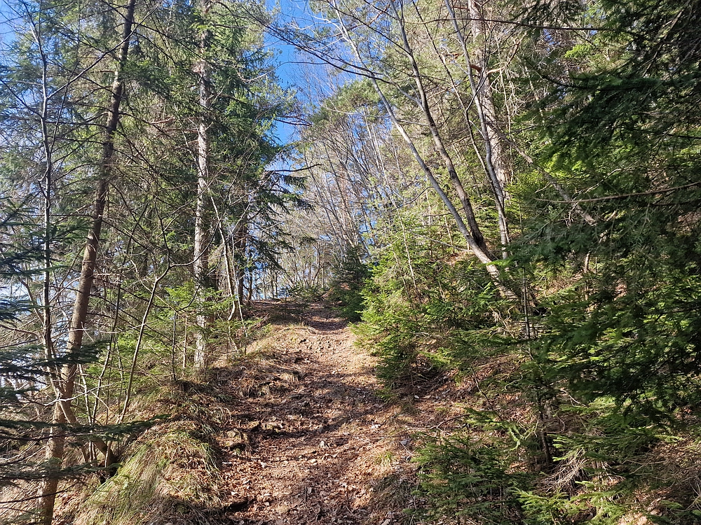 Jesenovo - Čemšeniška planina, 1. 3. 2026