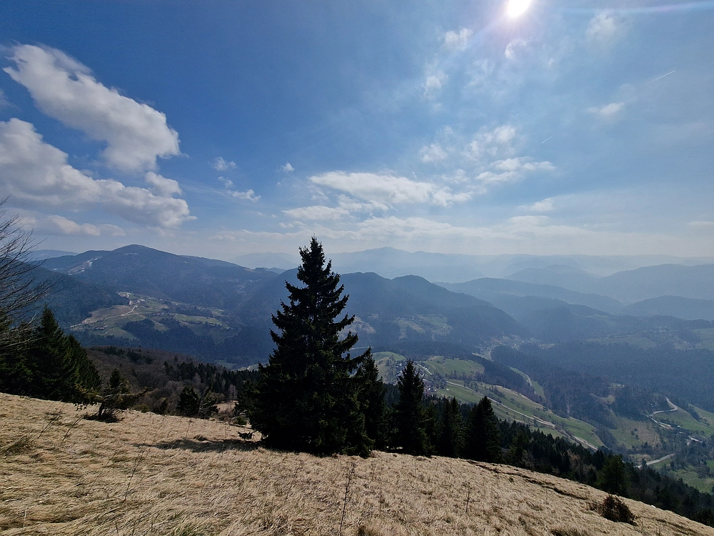 Jesenovo - Čemšeniška planina, 1. 3. 2026