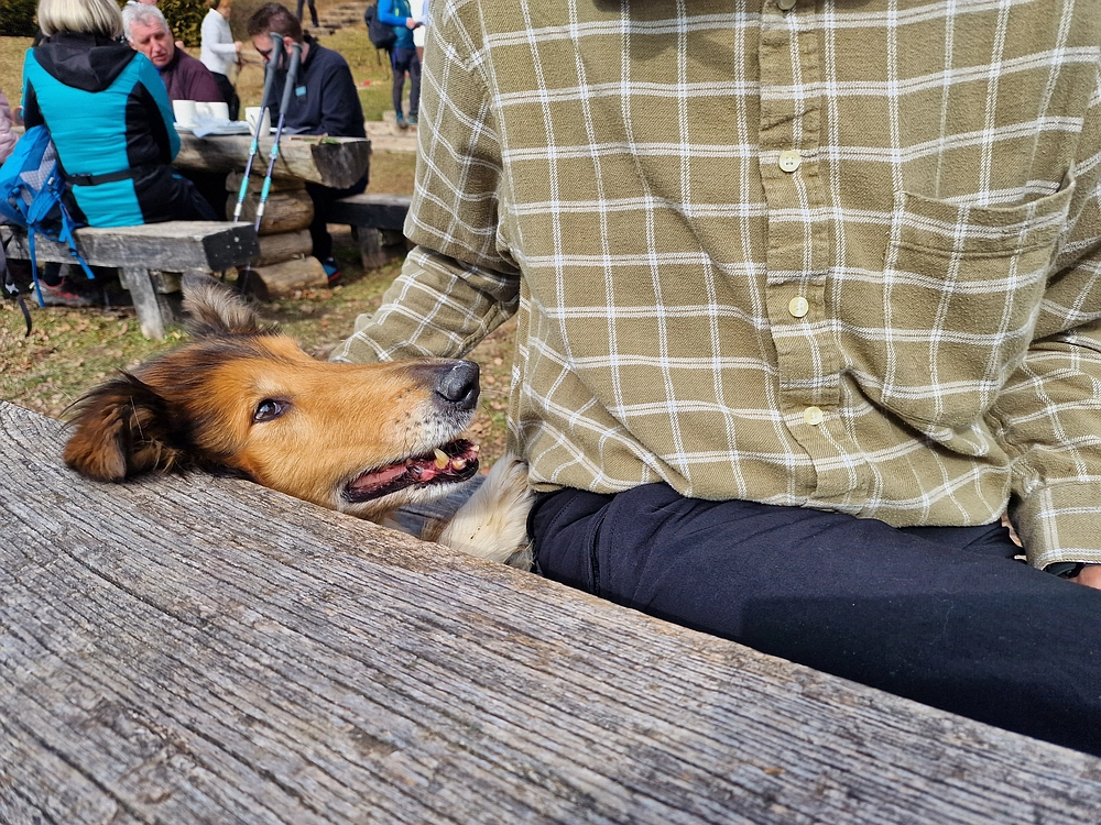Jesenovo - Čemšeniška planina, 1. 3. 2026